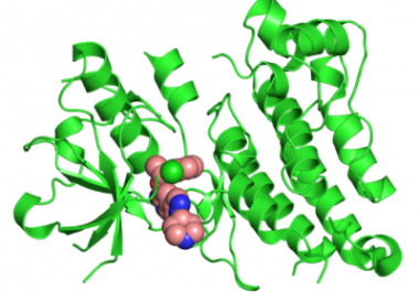 New Findings Open Doors for Rational Lung Cancer Treatment Strategies