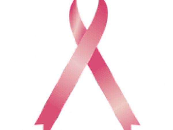From the Journals: Bras Do Not Increase Breast Cancer Risk