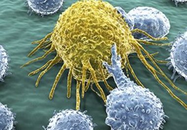 Advances in Immunotherapy: Fine-tuning CAR T Cells