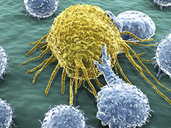 Advances in Immunotherapy: Fine-tuning CAR T Cells
