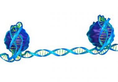 Catalyzing Progress in Epigenetics Research