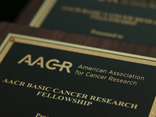 Another Successful Year for the AACR Grants Program