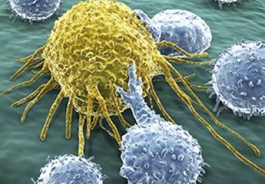 Advances in Immunotherapy: Tackling CAR T-cell Therapy Resistance
