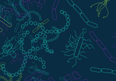 How the Microbiome Can Affect Cancer