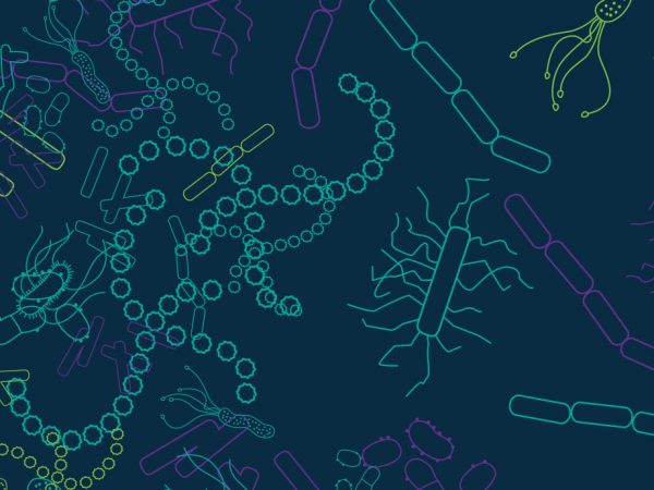 How the Microbiome Can Affect Cancer