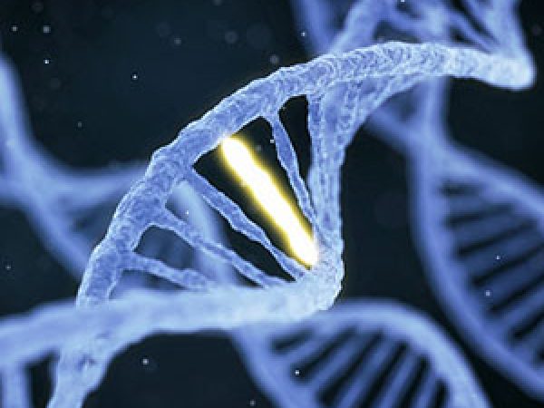 Researchers Discuss Disruption to DNA Damage Control
