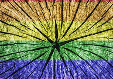 Examining Cancer Health Disparities in the LGBTQ Community  