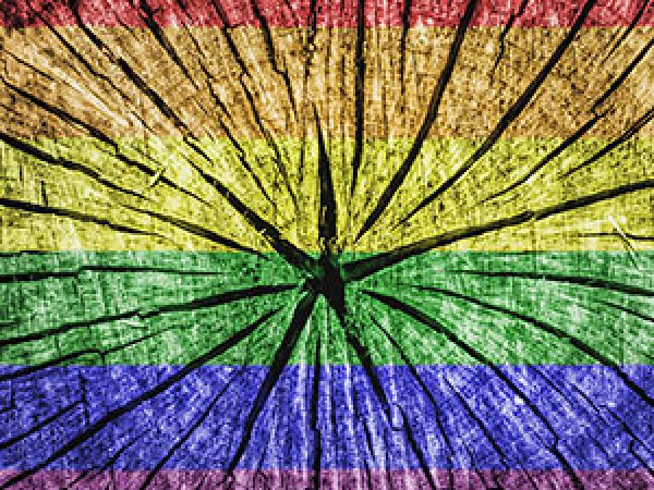 Examining Cancer Health Disparities in the LGBTQ Community  