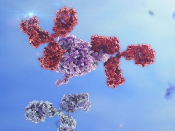 Can a Serum Biomarker Predict Response to Immunotherapy?
