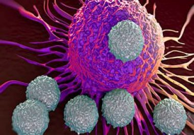 How Cancers Lose Something to Gain Immunotherapy Resistance
