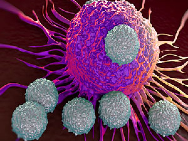 How Cancers Lose Something to Gain Immunotherapy Resistance