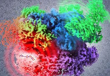 AACR Annual Meeting 2017: If You Can’t Drug It, Degrade It – A Protein Degradation Technology to Tackle Undruggable Oncoproteins