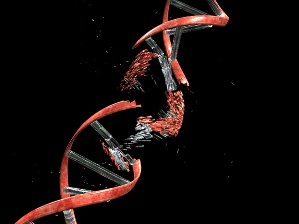 niraparib orarian cancer