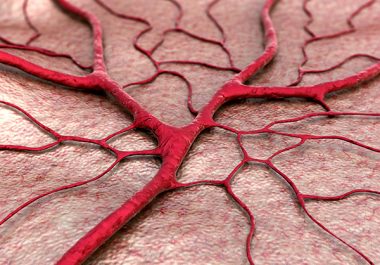 New Treatment for Liver Cancer Gets FDA Approval