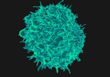 Targeting Tumors Based on a Biomarker