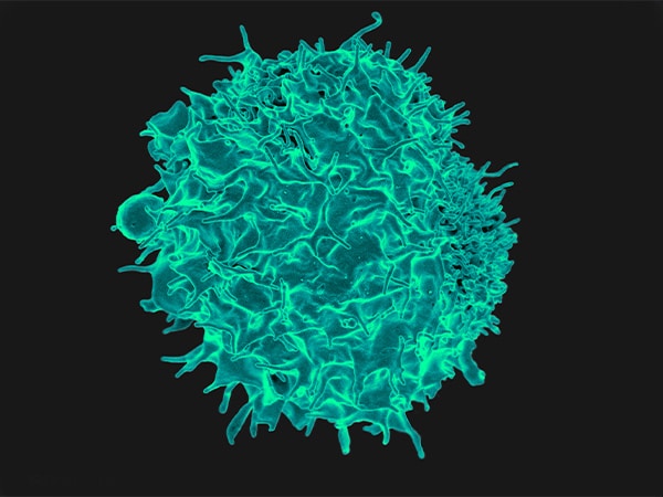 first immunotherapy approved for use based on biomarker