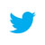 This image has an empty alt attribute; its file name is Twitter-bird-blue-on-white_50x50.jpg