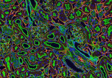 Combining Two Immunotherapies Shows Promise