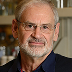 Robert N. Eisenman, PhD