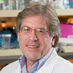 Charles J. Sherr, MD, PhD