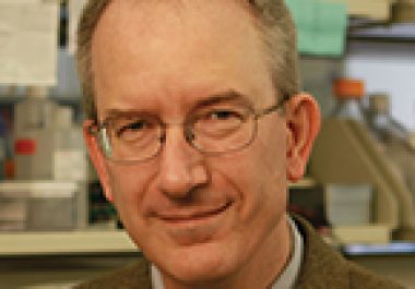 Louis M. Staudt, MD, PhD, FAACR