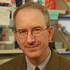 Louis M. Staudt, MD, PhD