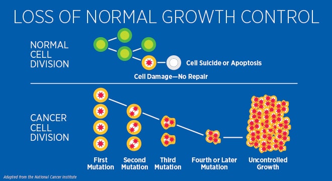 Cancer Cells vs. Normal Cells: How Are They Different?