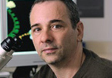 Andre Nussenzweig, PhD