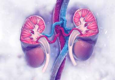 Kidney Cancer: Examining Risk Factors and Recently Approved Treatments