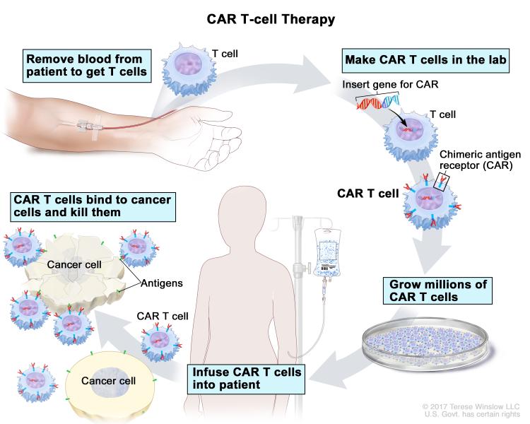 can brain tumors be slow growing