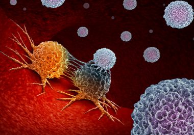 Revising the Dosing of a Cancer Immunotherapeutic