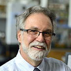 Gregg L. Semenza, MD, PhD