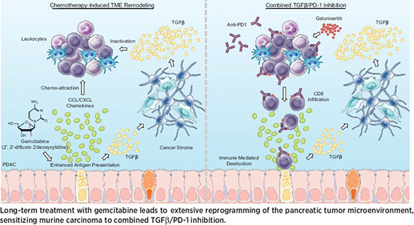 graphic on use of gemcitabine
