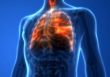 Microbes Found in the Lungs Are Linked with Worse Lung Cancer Outcomes