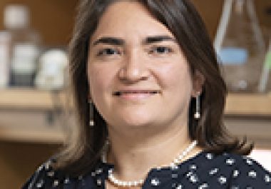 Marcela V. Maus, MD, PhD