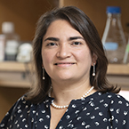 Marcela Maus, MD, PhD