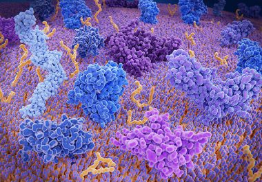 Recognizing Cancer Immunotherapy Month