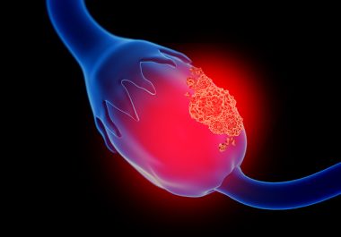 May 14: The Week in Cancer News