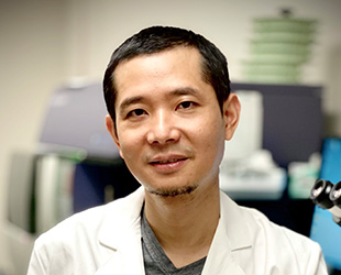Yi Fan, MD, PhD