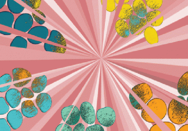 Editors’ Picks: August Highlights from AACR Journals