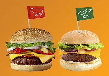 An Alternative to Meat