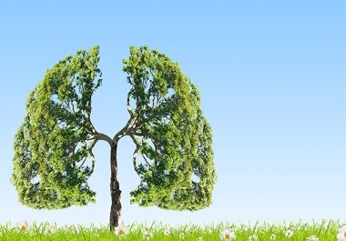 Spotlight on Small Cell Lung Cancer