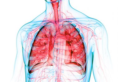 Looking Closely at Lung Cancer