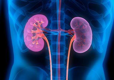 Kidney Cancer Patients Given an Immunotherapy Combination Have More Time Without Treatment Than Those Given a Targeted Therapy, a Study Shows