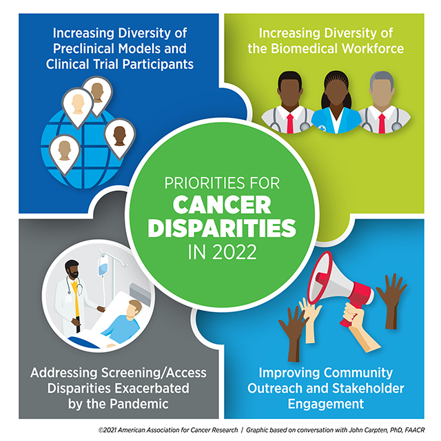 disparities preview graphic