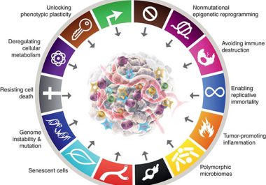 New Dimensions in Cancer Biology: Updated Hallmarks of Cancer Published