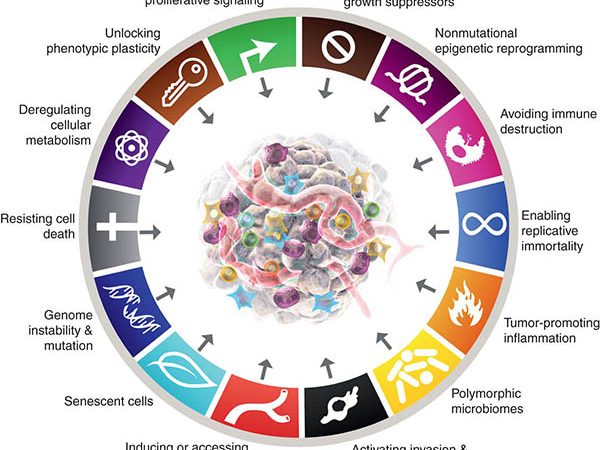 New Dimensions in Cancer Biology: Updated Hallmarks of Cancer Published