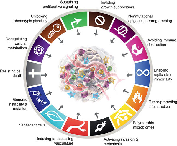 The classic Hallmarks of Cancer wheel diagram published in AACR Journal Cancer Discovery is composed of a large ring divided into 14 sections, labeled: evading growth suppressors, nonmutational epigenetic programming, avoiding immune destruction, enabling replicative immortality, tumor-promoting inflammation, polymorphic microbiomes, activating invasion & metastasis, inducing or accessing vasculature, senescent cells, genome instability & mutation, resisting cell death, deregulating cellular metabolism, unlocking phenotypic plasticity, and sustaining proliferative signaling. Each section has an arrow pointing to a tumor in the center of the ring.