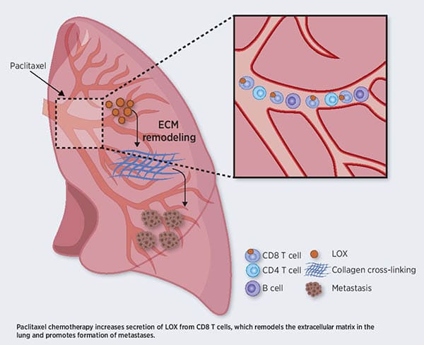 Cancer Research graphic