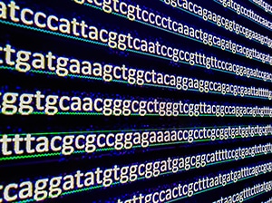 DNA sequence